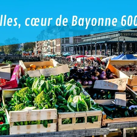 Nikki's House Bayonne