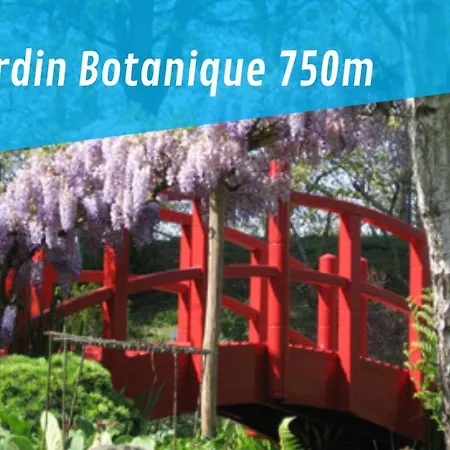 Nikki's House * Bayonne