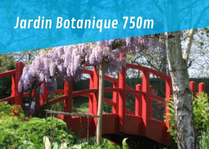 Nikki's House * Bayonne